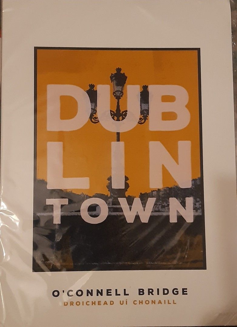Dublin/ Ireland -pintti