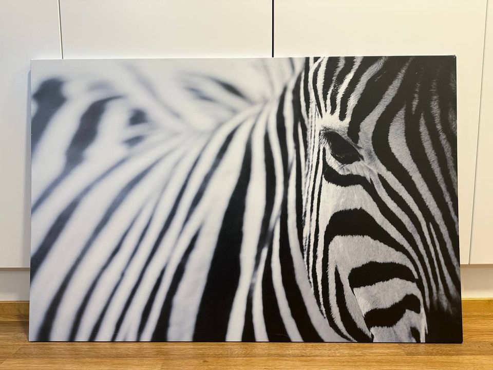 IKEA - Pjätteryd - Zebra taulu (78×118cm)