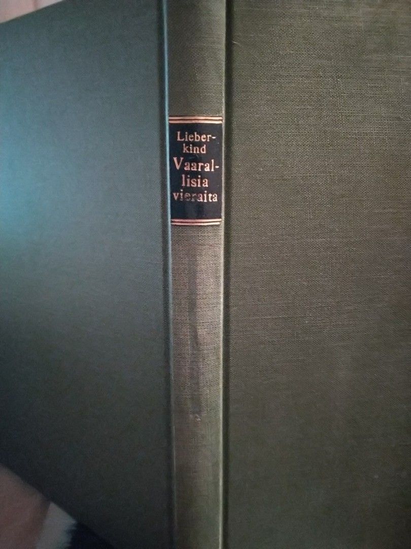 Vaarallisia vieraita - Ingvald Lieberkind (1929)
