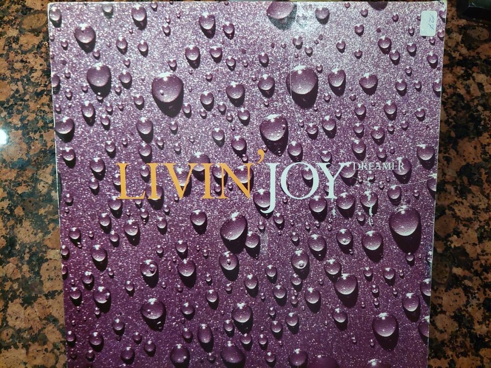 Livin' Joy: Dreamer Maxi 1994