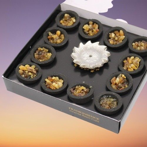 Box of 12 Resin Incense Cups with coal