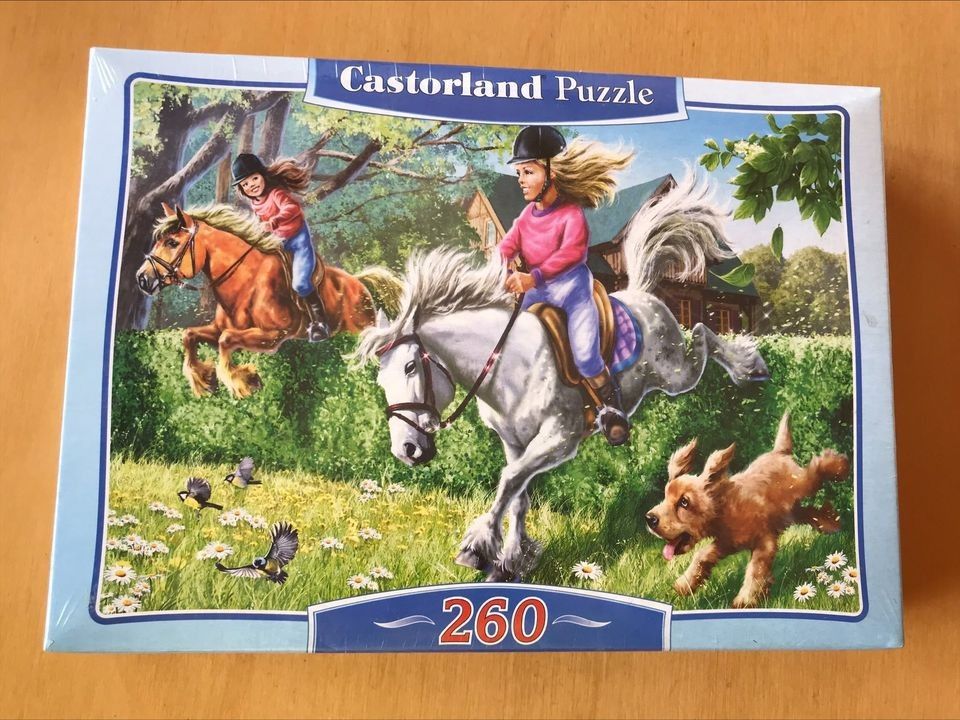 Uusi puzzle 32x23 cm 260 kpl