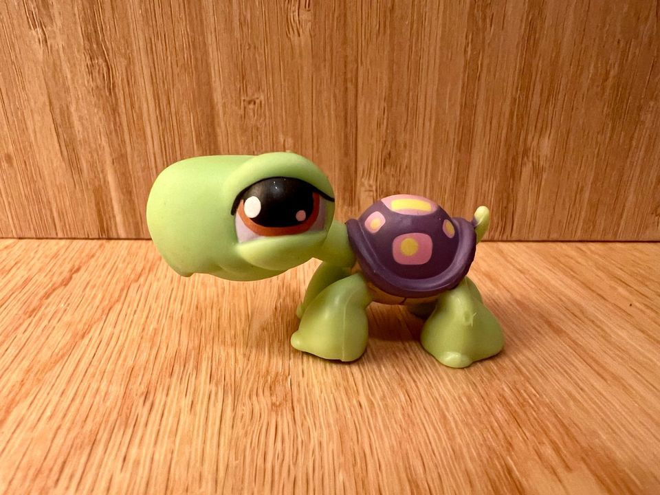 Littlest Pet shop, LPS Kilpikonna #302