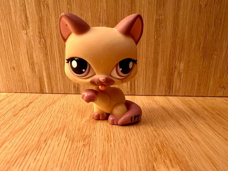 Littlest Pet Shop, LPS Kissa #1468