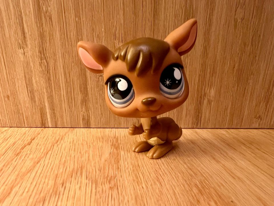 Littlest Pet Shop, LPS Kenguru #682