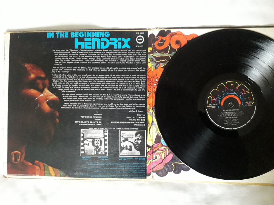 Jimi Hendrix - In The Beginning + At His Best LP-levyt