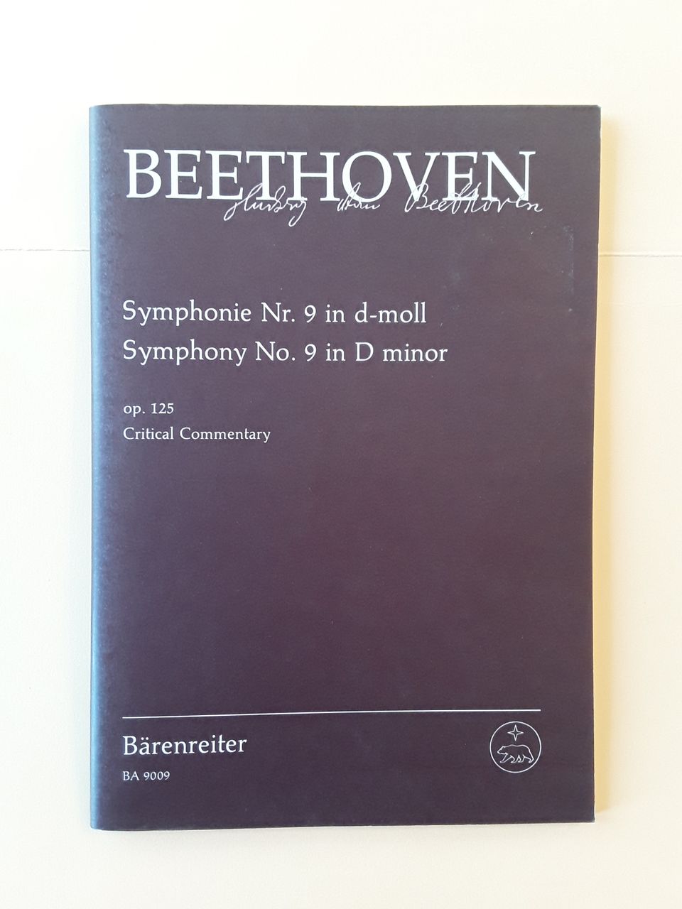 Beethoven, Sinfonia 9, kriittiset kommentaarit
