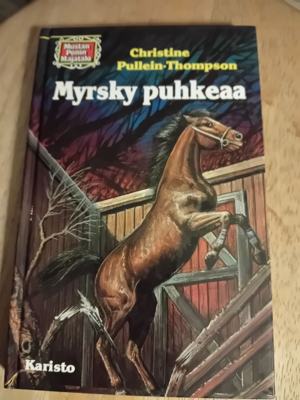 Nuorten Kirja.  Myrsky puhkeaa