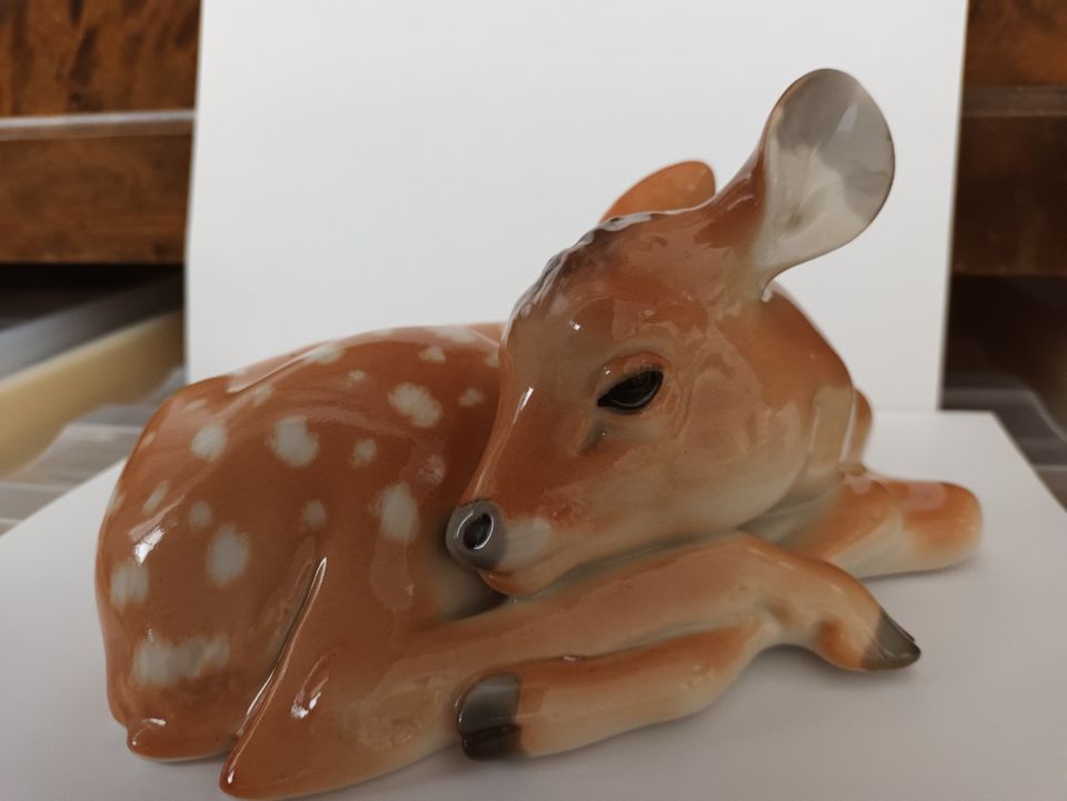 Lomonosov Bambi