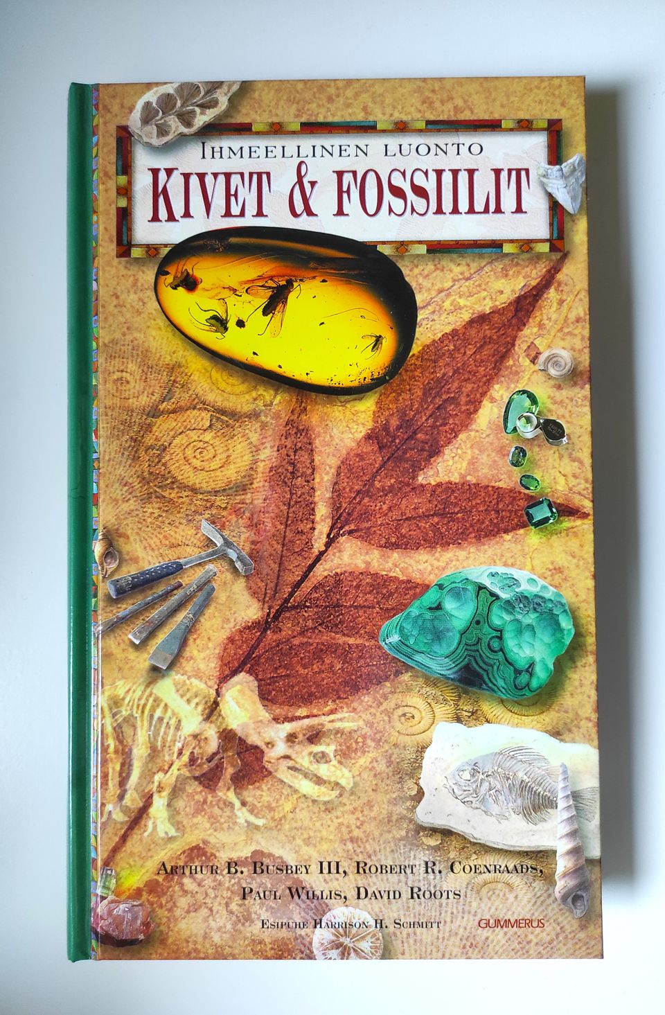 Käyttämätön kirja: Ihmeellinen luonto - Kivet ja fossiilit 2004