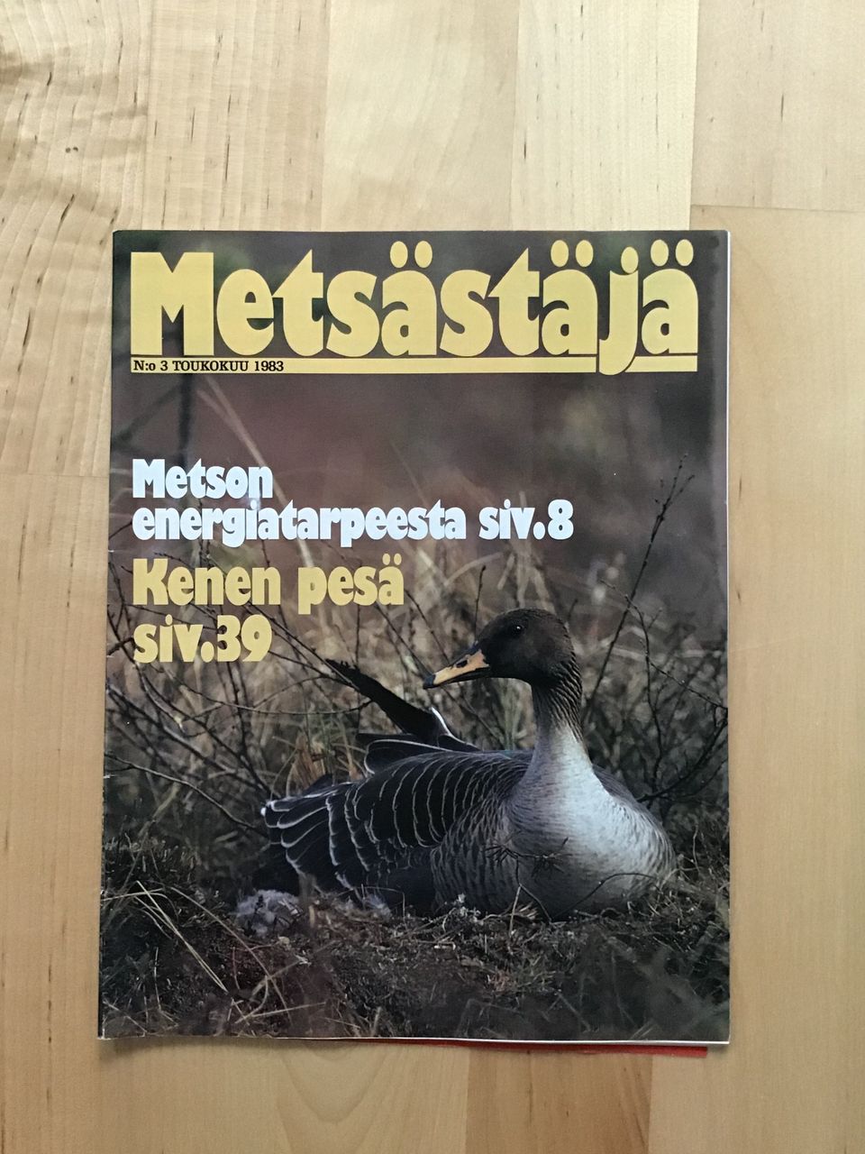 Metsästäjä lehti 3/1983