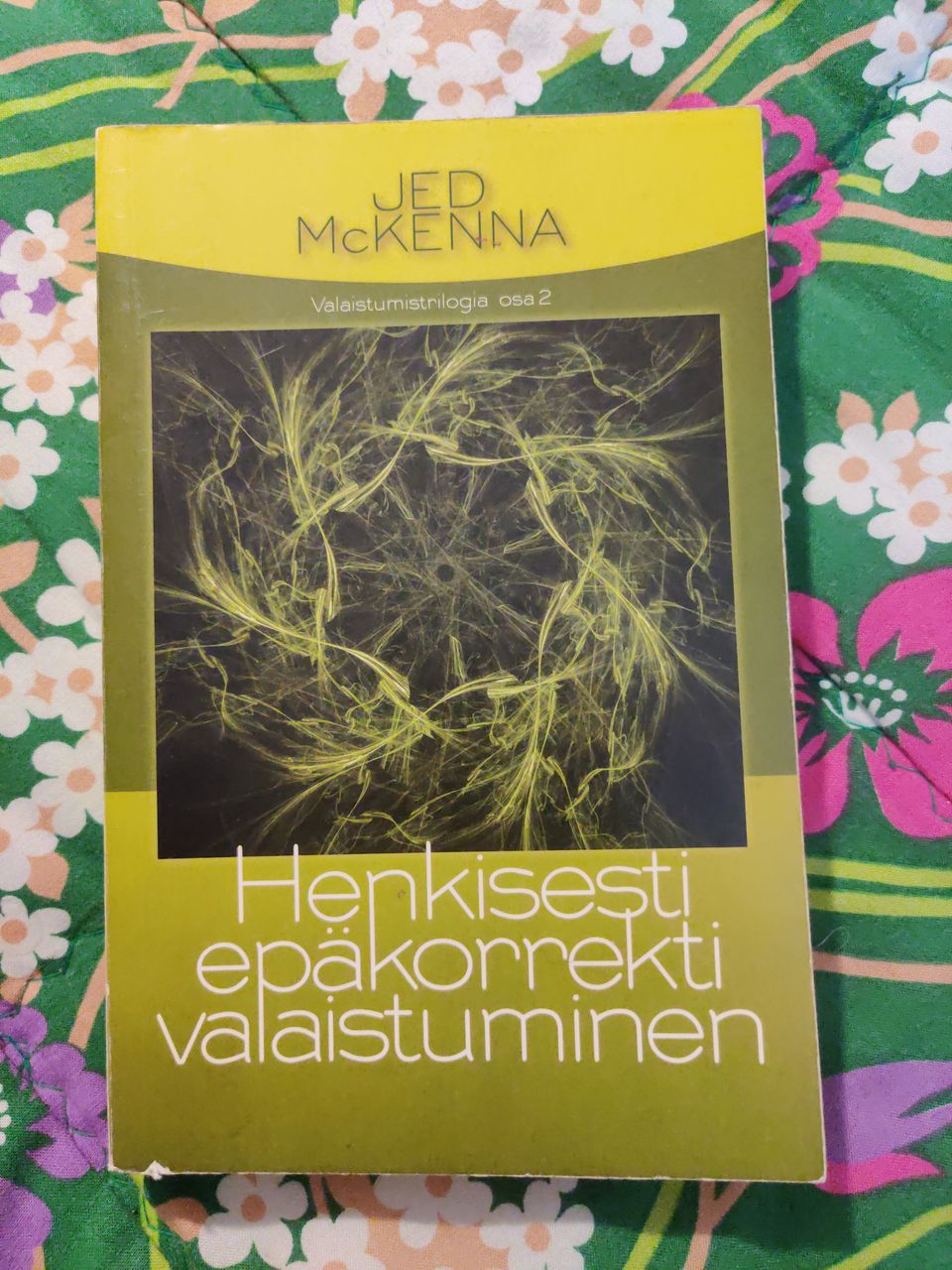 Jed McKenna : Henkisesti epäkorrekti valaistuminen