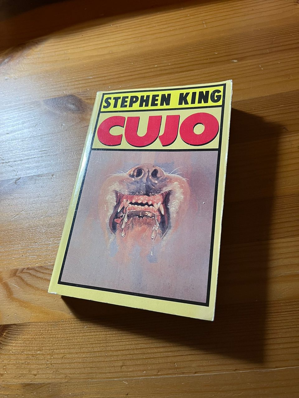 Stephen King Cujo 1.p