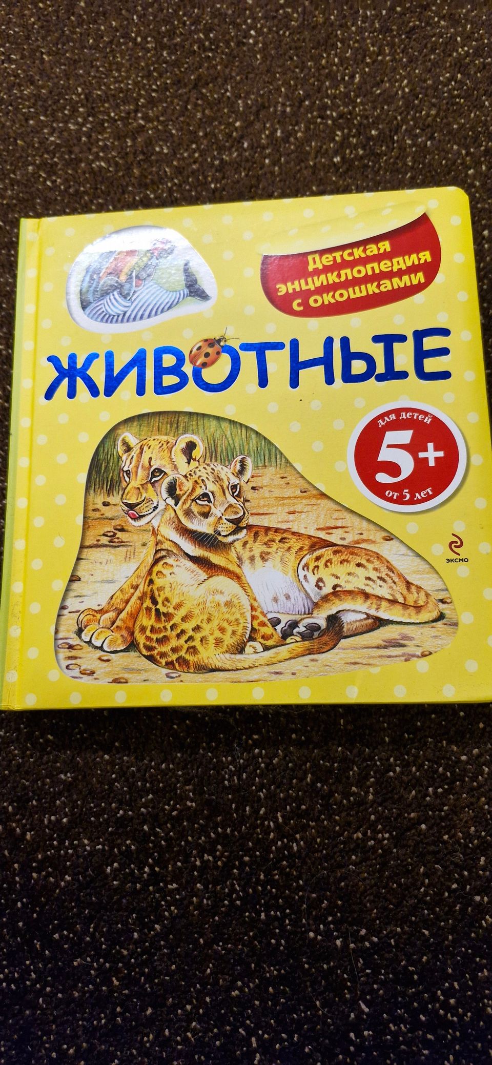 Venäjänkielinen lasten kirja 5+