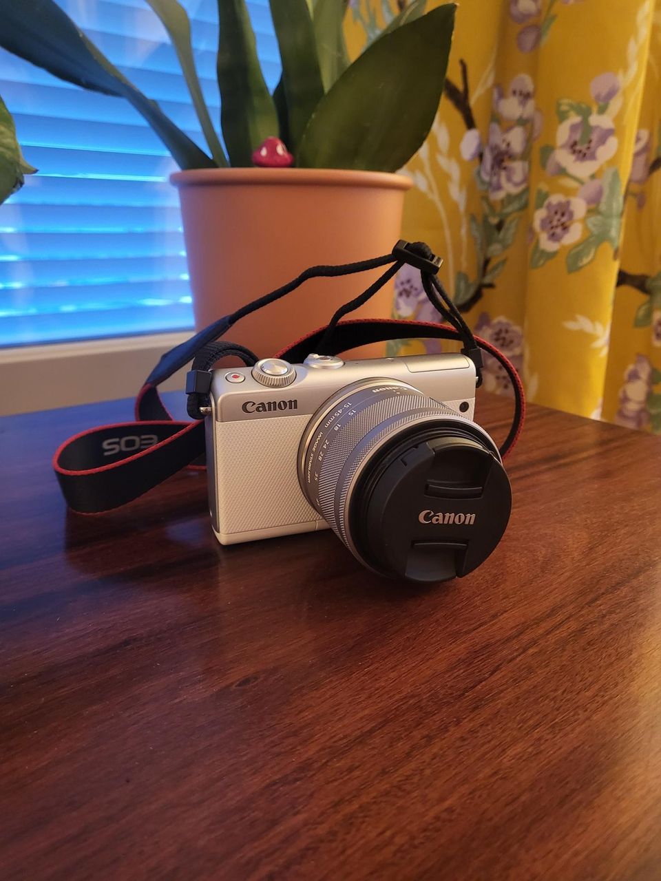 Canon eos m100 kamera