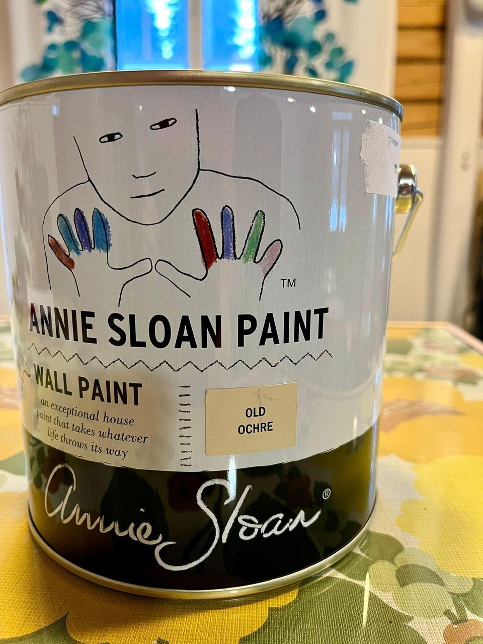 Annie Sloan Wall Paint 2.5l