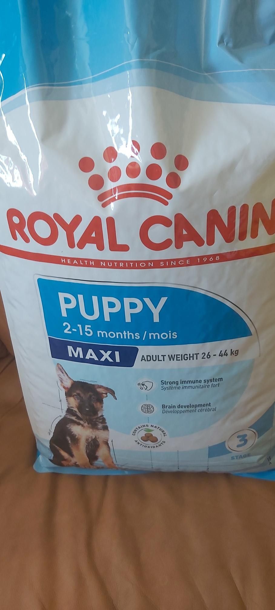 Koiranruoka royal canin puppy 2-15 monnths maxi
