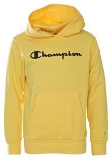 Champion Hooded Sweatshirt Jr. Huppari 176