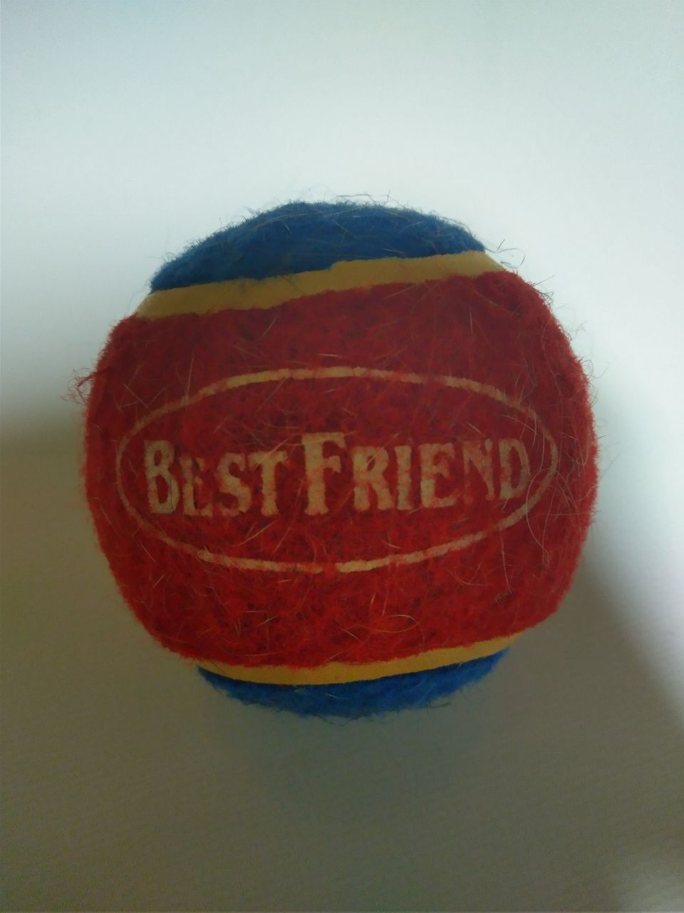 Best Friend Ball koiran tennispallo