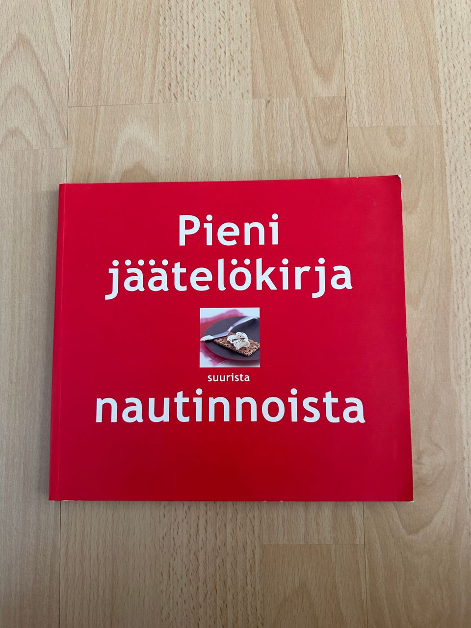 Pieni jäätelökirja