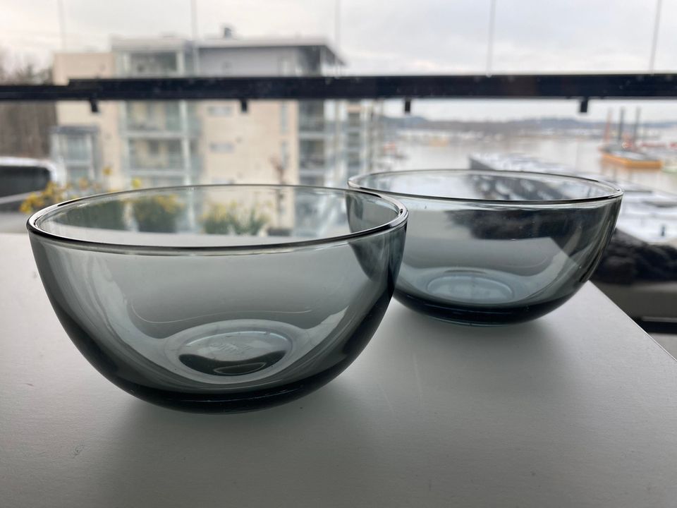 Iittala teema kirkas kulho 2kpl