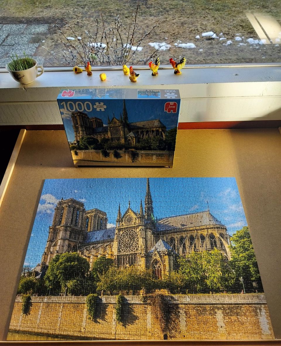 Jumbo Notre Dame 1000 palapeli