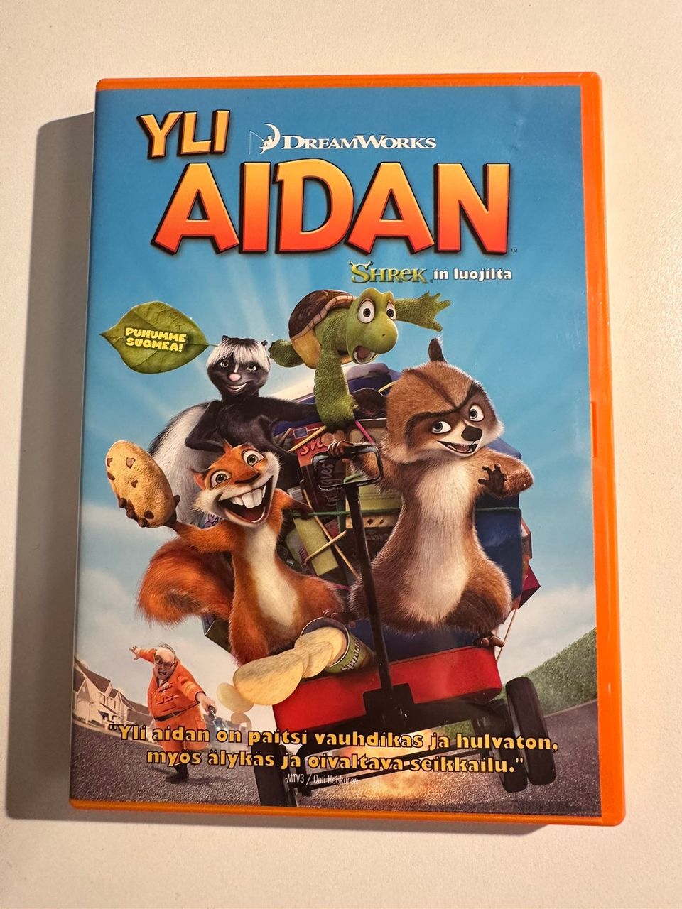 Yli aidan