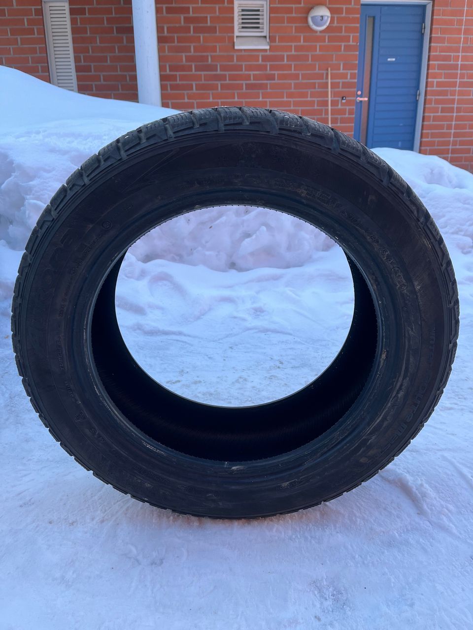 Aurora talvikumit 205/55R16 91T