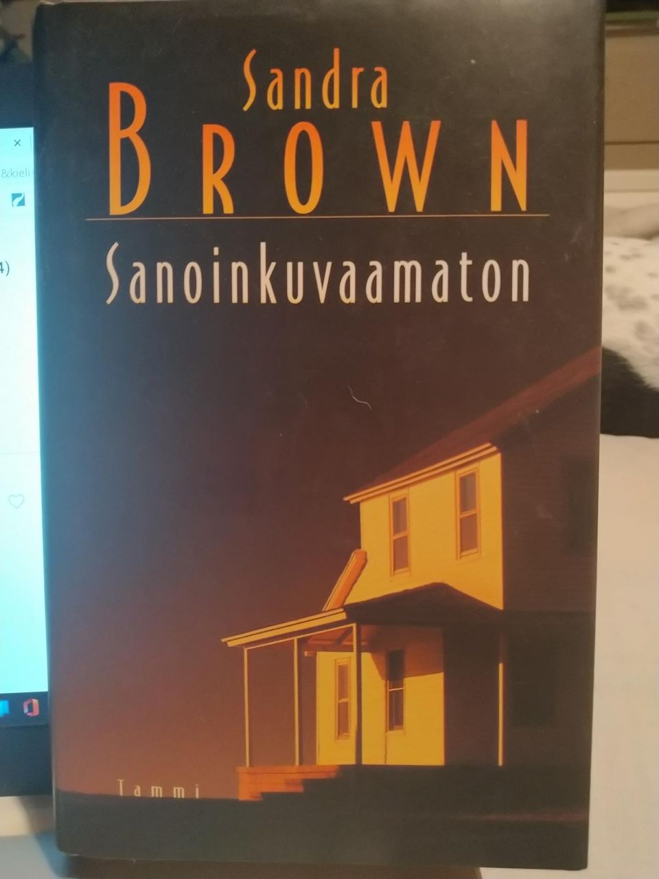 Sanoinkuvaamaton - Sandra Brown