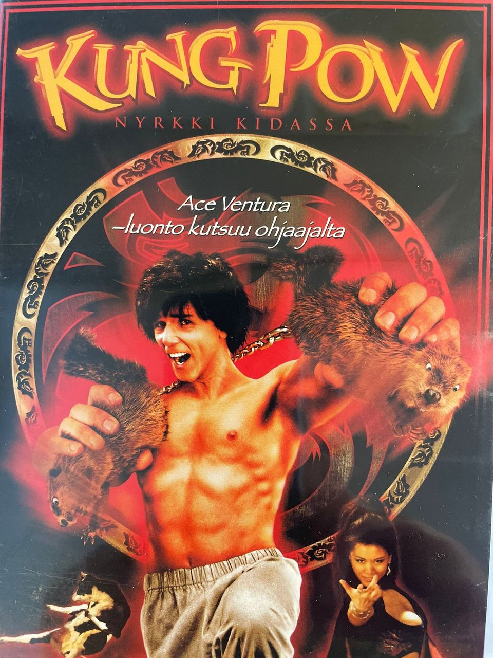 Kung Pow -nyrkki kidassa DVD