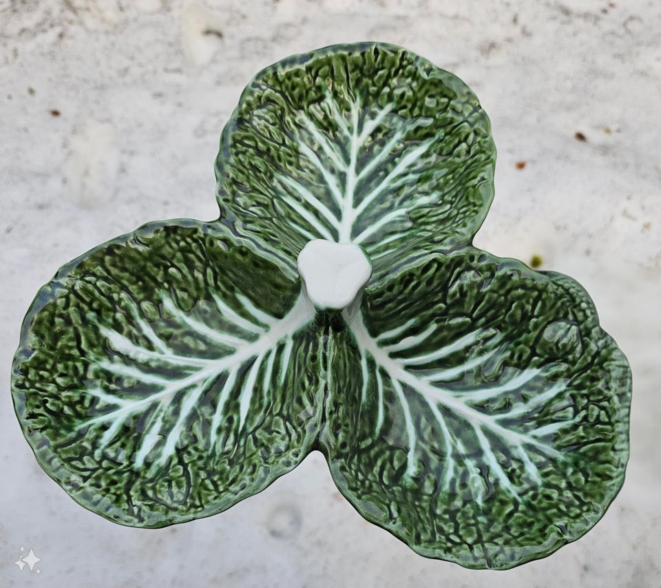 Belo Portugal green cabbage astia