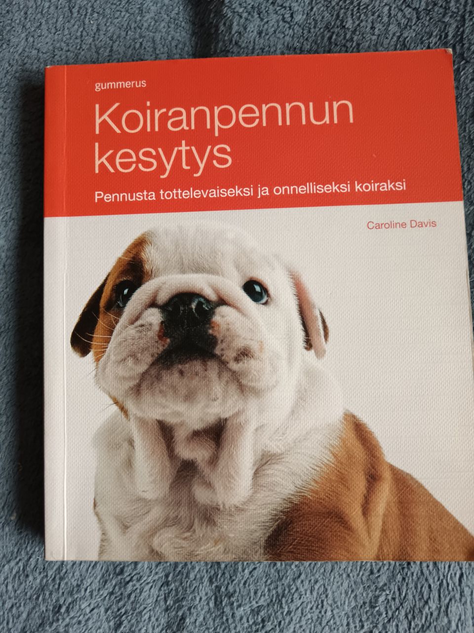 Koiranpennun kesytys