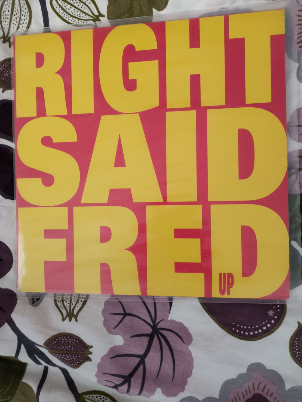 Lp Rigtsaid Fred, Up