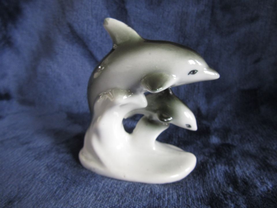 Lomonosov delfiini