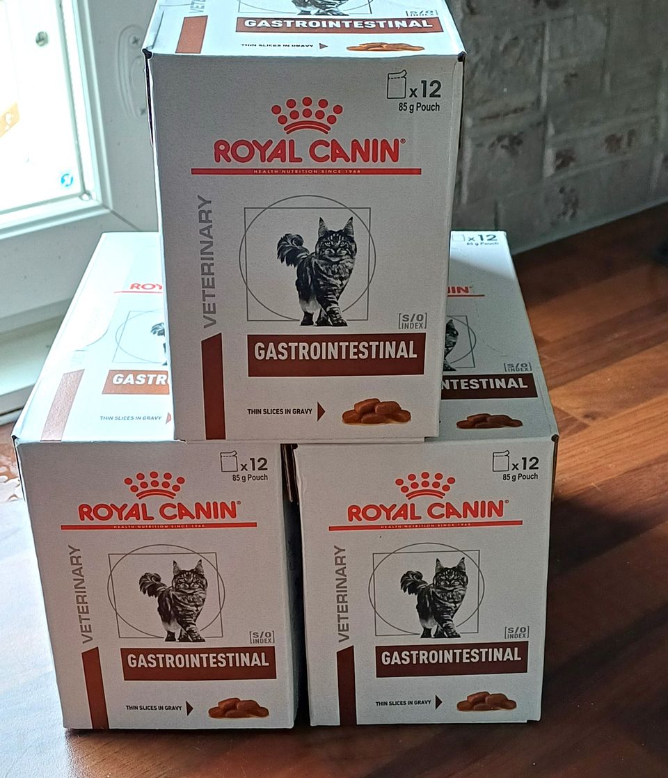 Kissan Royal Canin Veterinary Feline Gastrointestinal kastikkeessa.