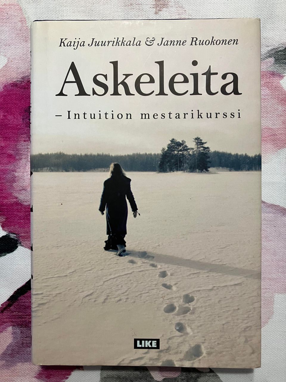 Juurikkala & Ruokonen : Askeleita - Intuition mestarikurssi