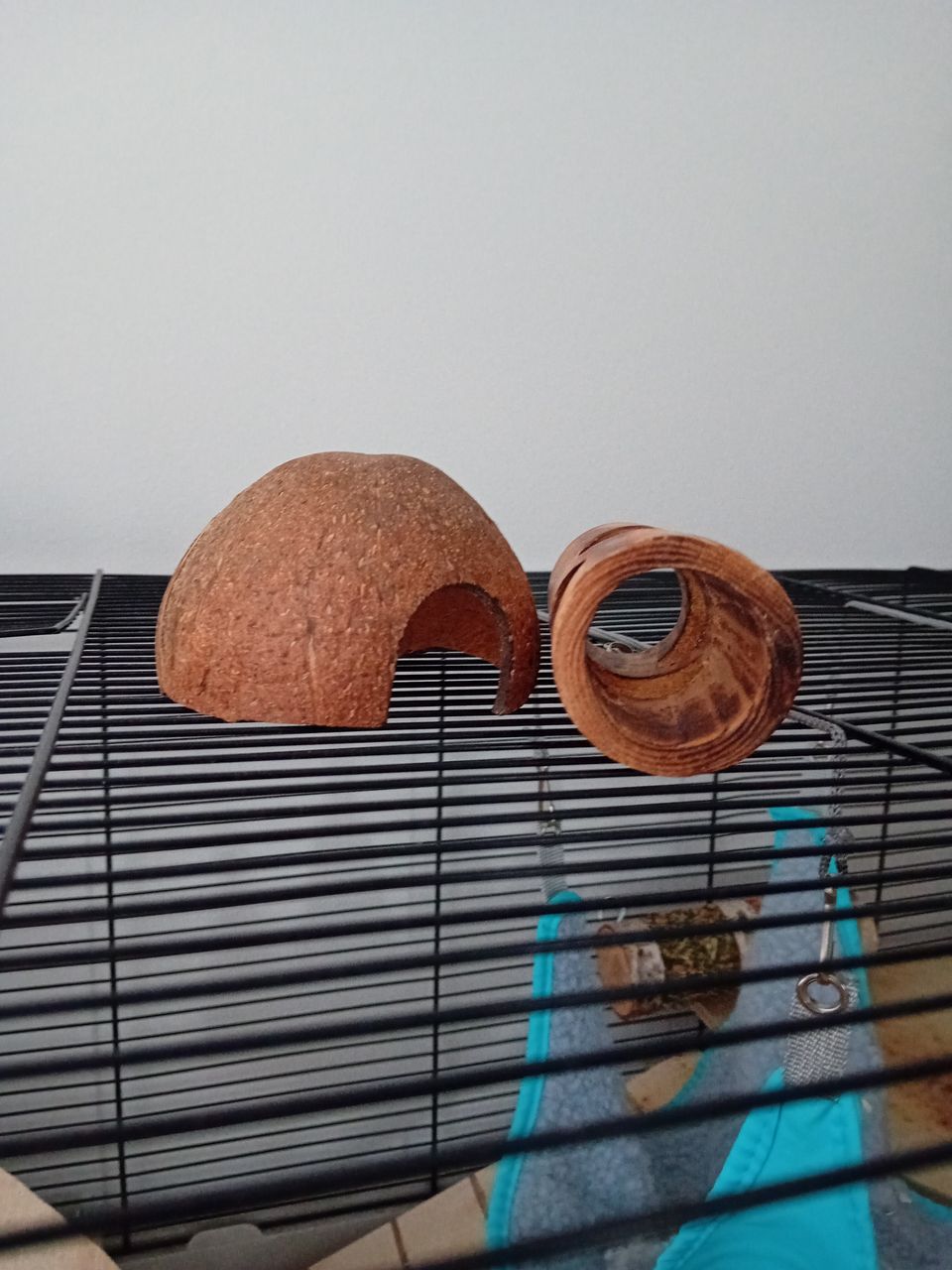 Kaksi hamsterin tarviketta