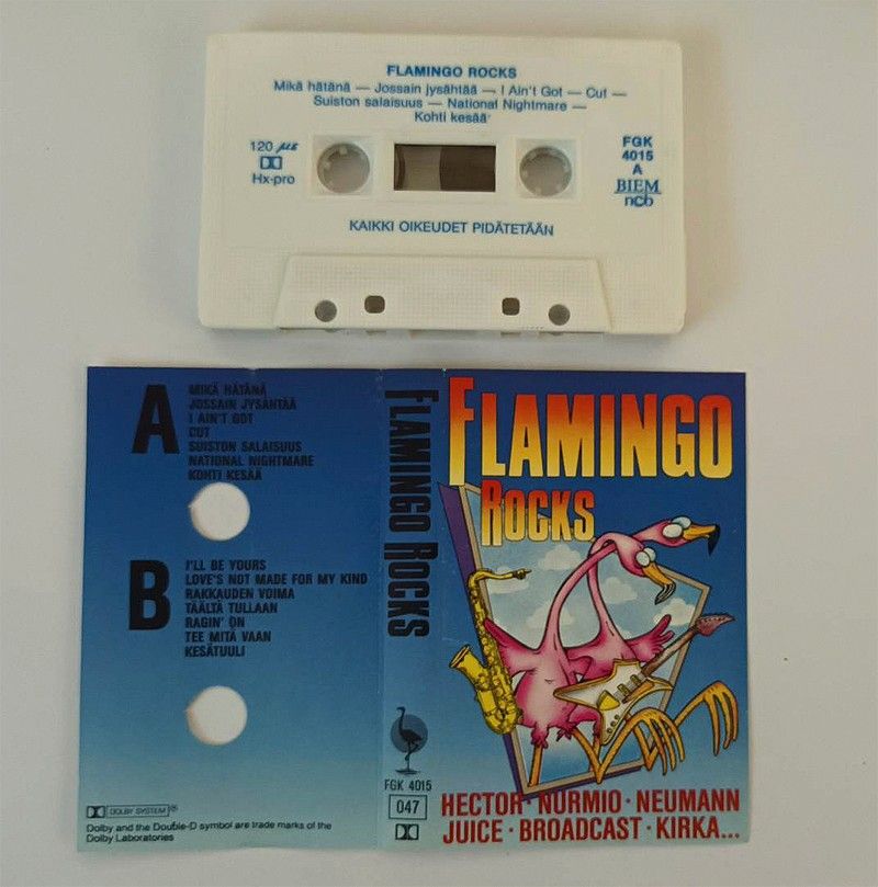 Flamingo Rocks (Tarot, Backsliders, Zero Nine) C-kasetti