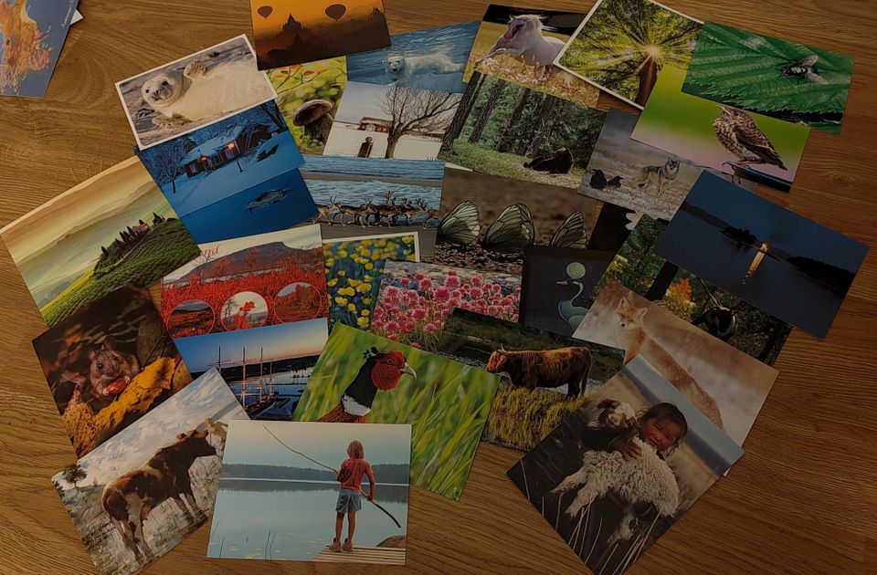 38 kpl luontoaiheisia postikortteja uusia