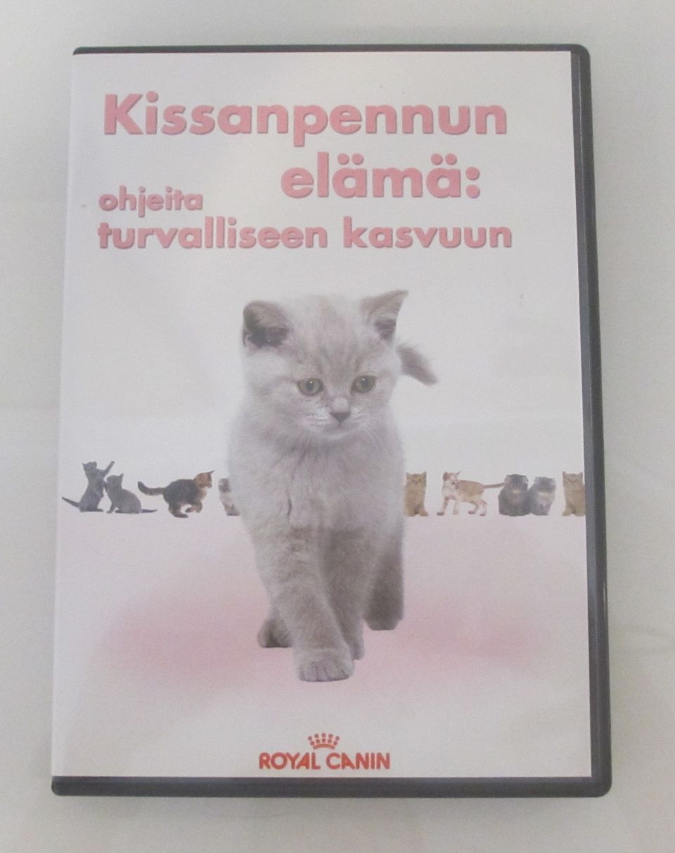 DVD-levy:  Kissanpennun elämä: ohjeita turvalliseen kasvuun