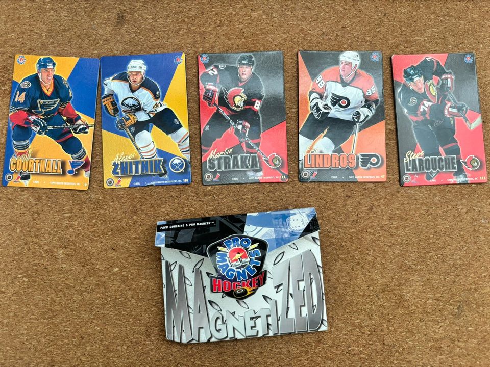 NHL 1995 Pro Magnets