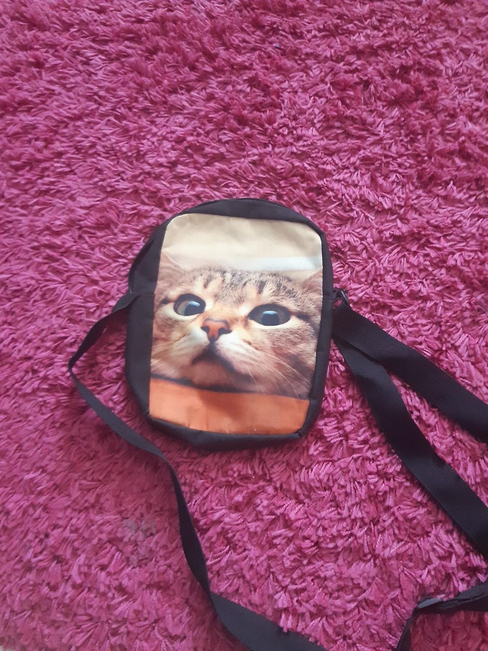 Pieni kissa laukku