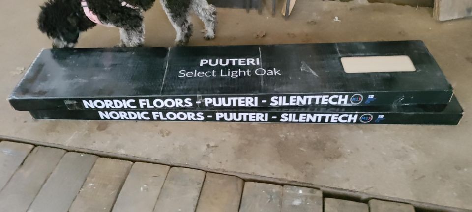 Nordic floors puuteri light oak