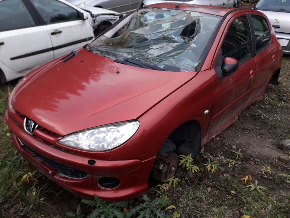 Peugeot 206 Punainen