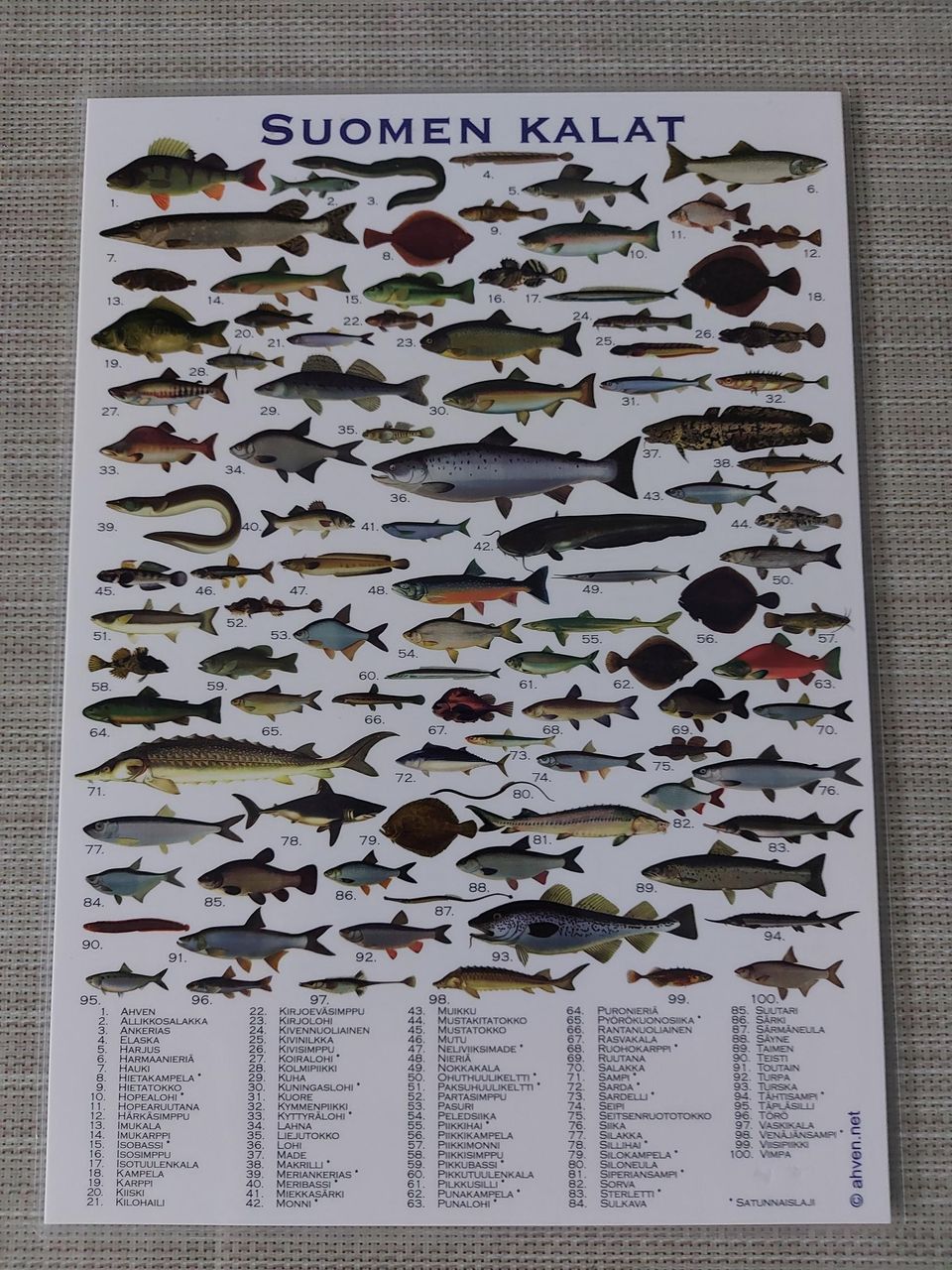 Suomen kalat postikortti