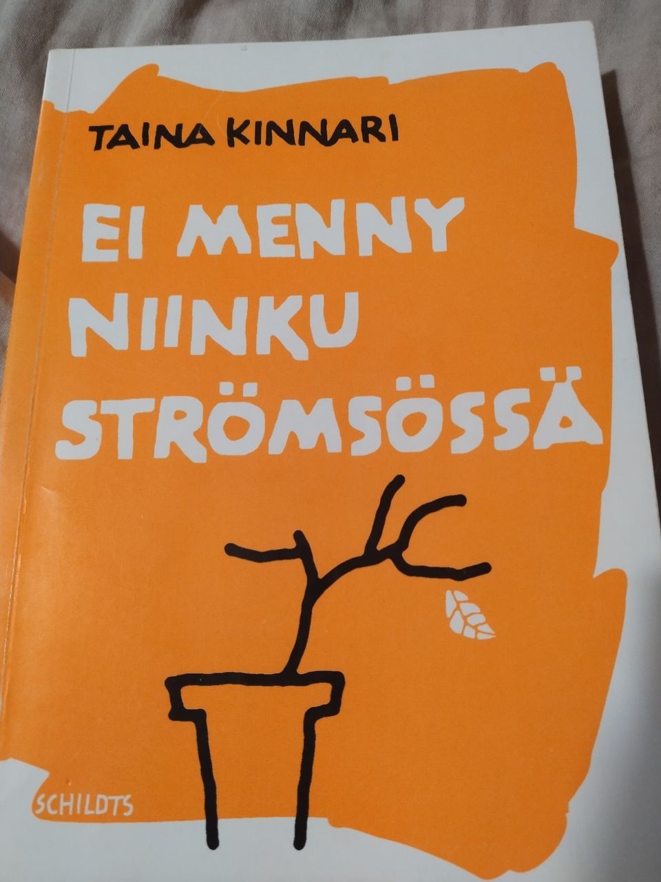 Ei menny niinku Strömsössä - Taina Kinnari