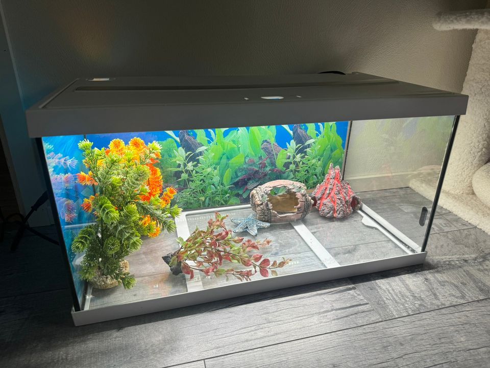 Eheim aquastar 54L LED akvaario ja paljon tarvikkeita
