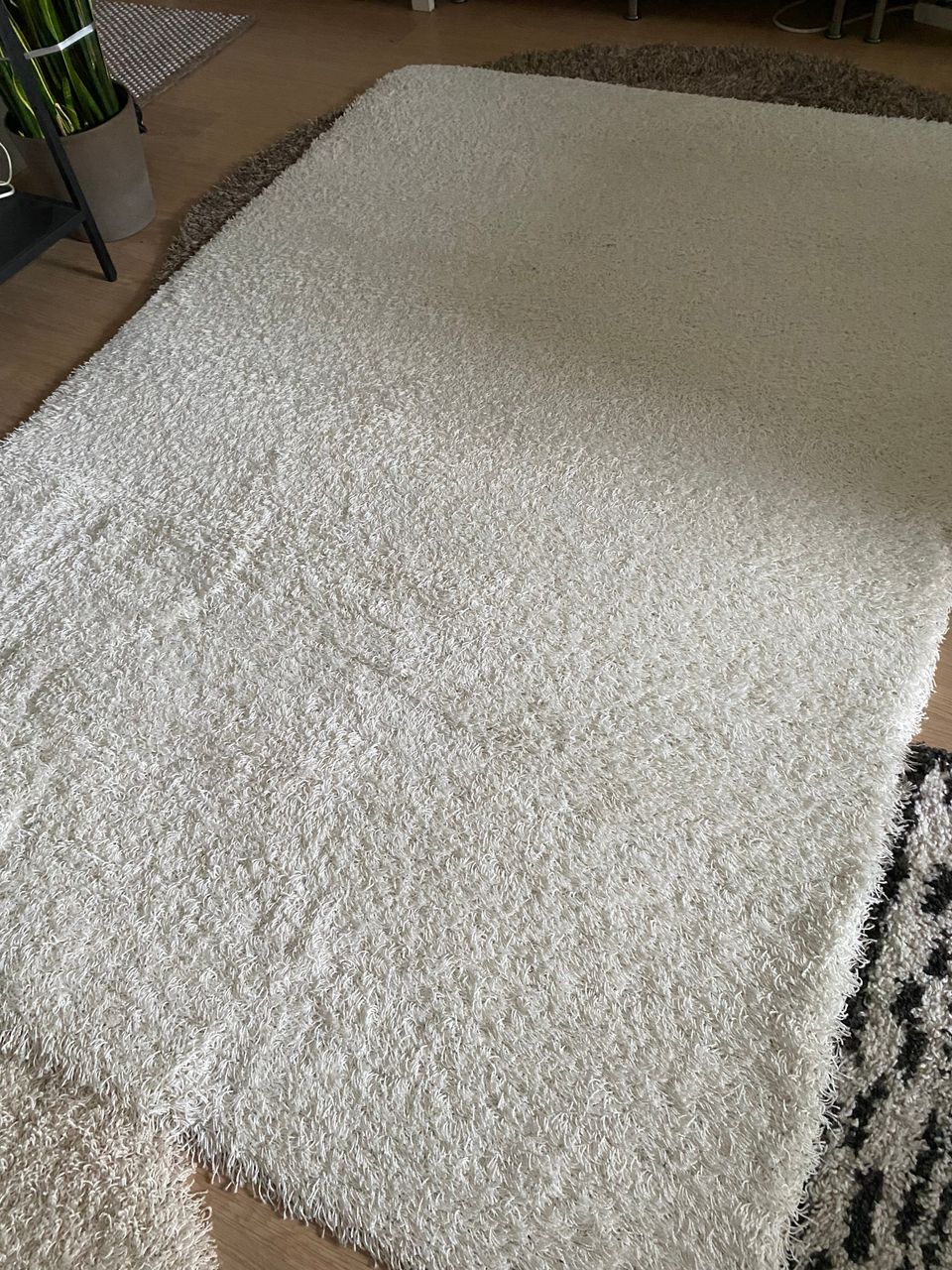 Wm carpet Tessamatto