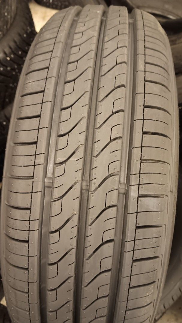 175/65R14 Kontio Tyres BearPaw Kesärenkaat