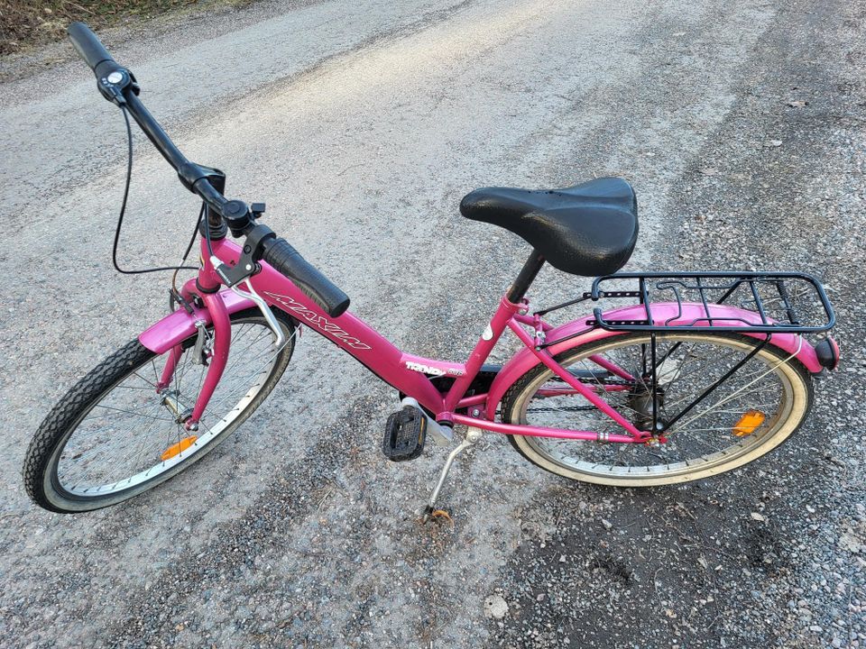 Pinkki pyörä 24